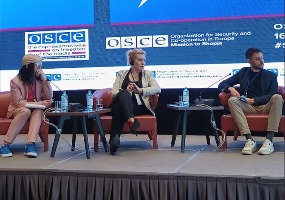 Фићовић: Локални медији од суштинске важности за објективно информисање Срба на Косову